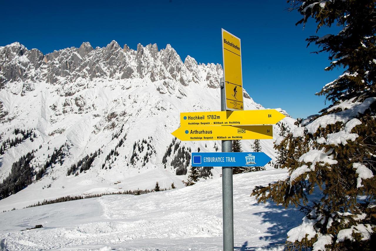 Skyberg Chalet Mühlbach am Hochkönig Zewnętrze zdjęcie